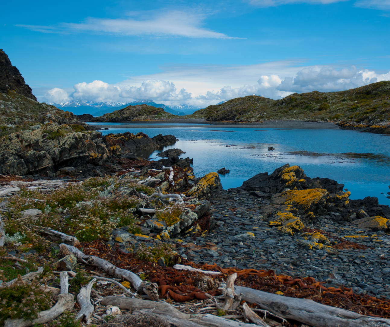 Ushuaia Tierra del Fuego Argentina. Qué hacer en Ushuaia